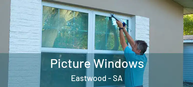  Picture Windows Eastwood - SA