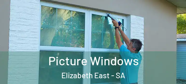 Picture Windows Elizabeth East - SA