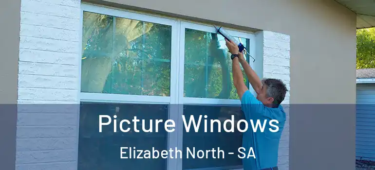 Picture Windows Elizabeth North - SA