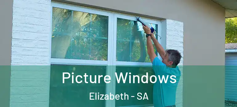 Picture Windows Elizabeth - SA