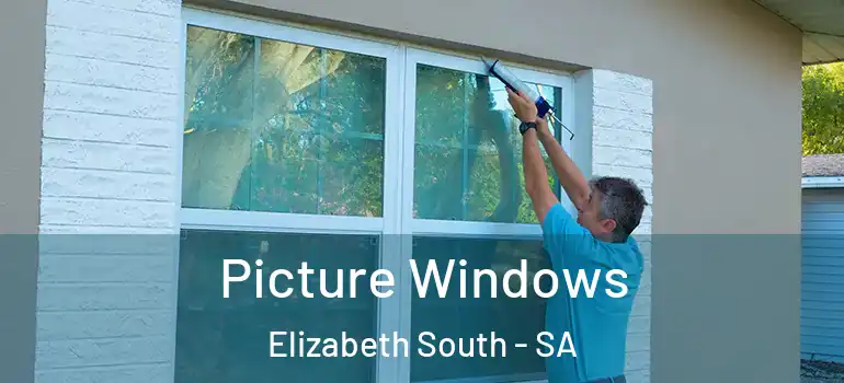 Picture Windows Elizabeth South - SA