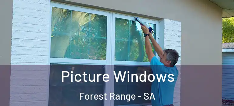 Picture Windows Forest Range - SA