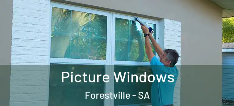  Picture Windows Forestville - SA