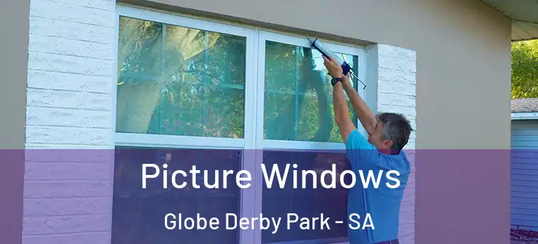 Picture Windows Globe Derby Park - SA