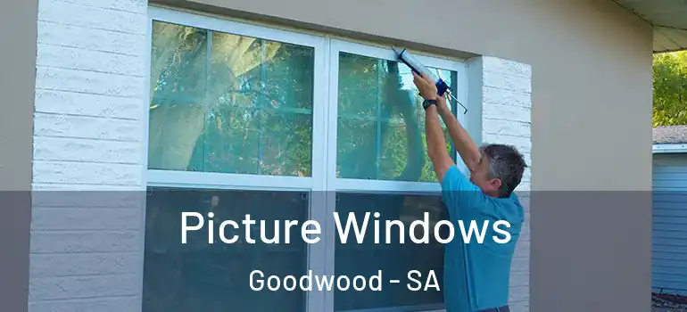 Picture Windows Goodwood - SA