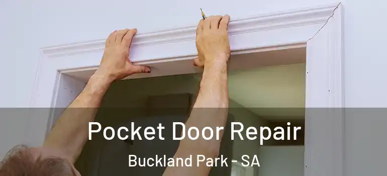 Pocket Door Repair Buckland Park - SA