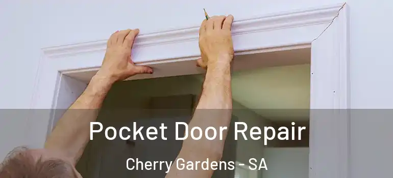 Pocket Door Repair Cherry Gardens - SA