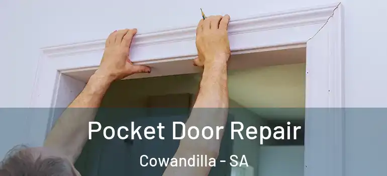 Pocket Door Repair Cowandilla - SA