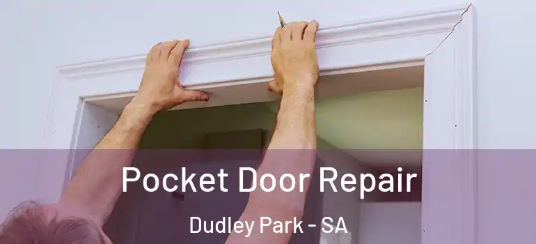 Pocket Door Repair Dudley Park - SA