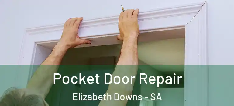  Pocket Door Repair Elizabeth Downs - SA