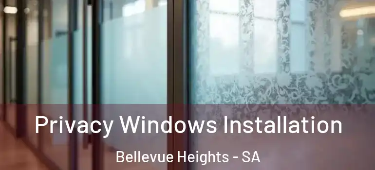  Privacy Windows Installation Bellevue Heights - SA