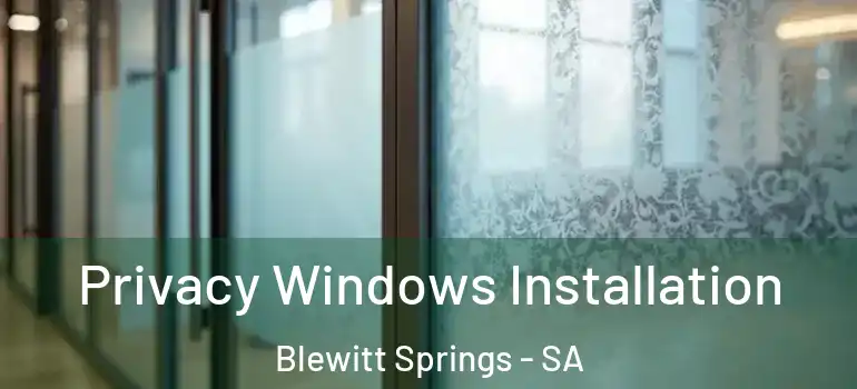  Privacy Windows Installation Blewitt Springs - SA