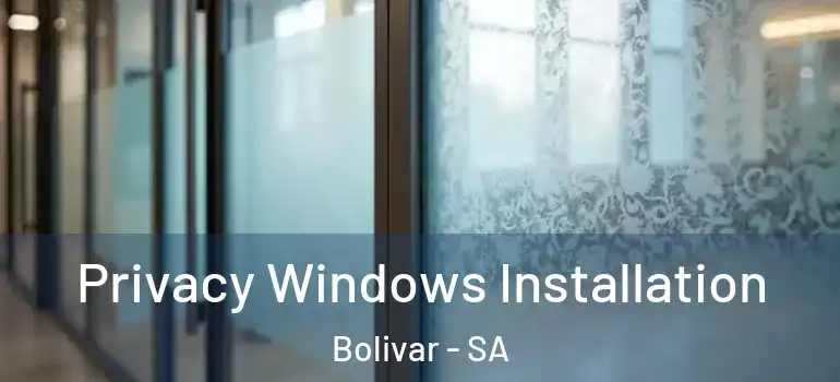  Privacy Windows Installation Bolivar - SA