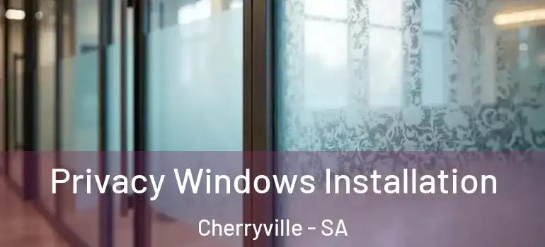  Privacy Windows Installation Cherryville - SA