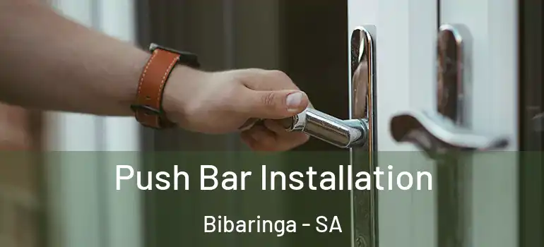 Push Bar Installation Bibaringa - SA