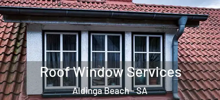 Roof Window Services Aldinga Beach - SA