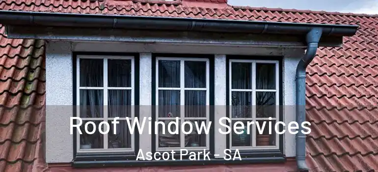 Roof Window Services Ascot Park - SA