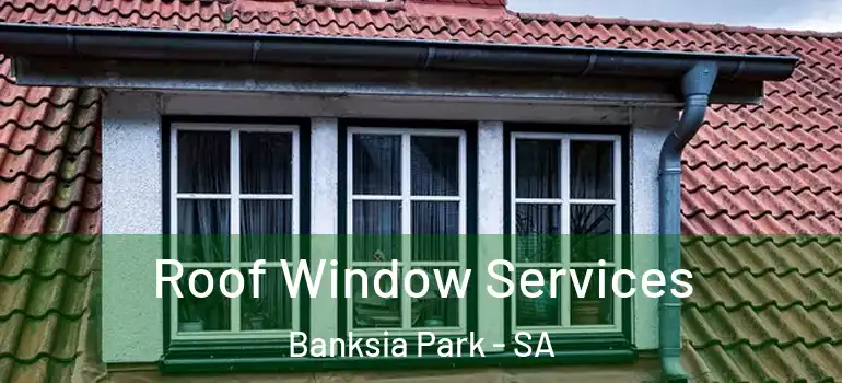 Roof Window Services Banksia Park - SA