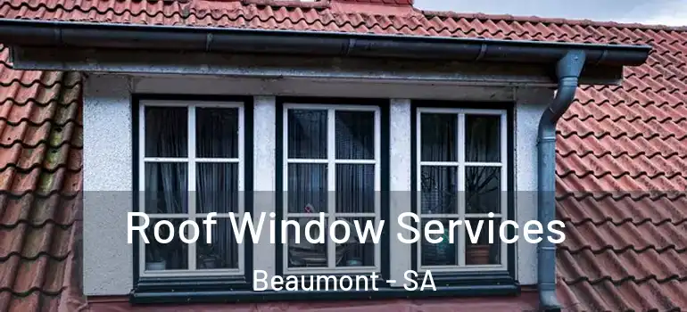  Roof Window Services Beaumont - SA