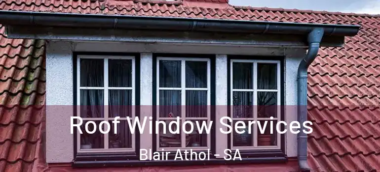 Roof Window Services Blair Athol - SA
