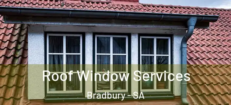 Roof Window Services Bradbury - SA