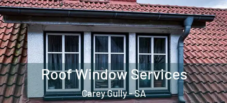 Roof Window Services Carey Gully - SA