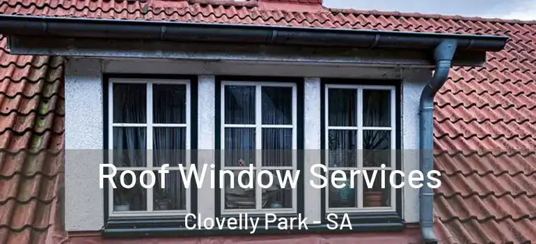 Roof Window Services Clovelly Park - SA