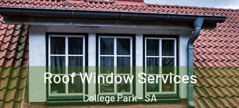 Roof Window Services College Park - SA