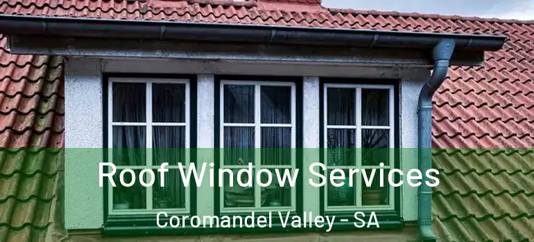 Roof Window Services Coromandel Valley - SA