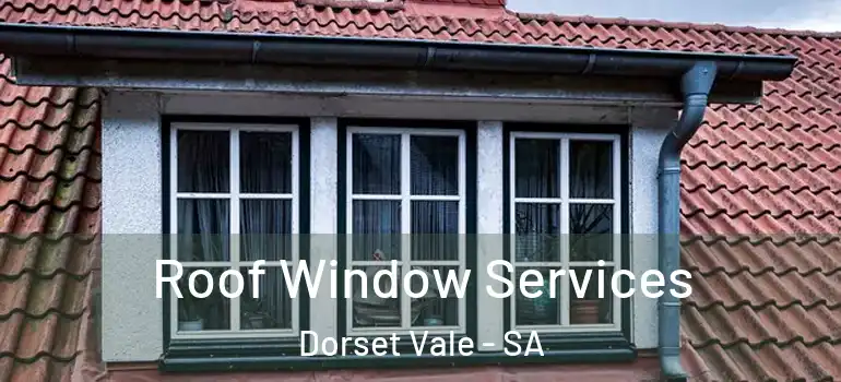  Roof Window Services Dorset Vale - SA
