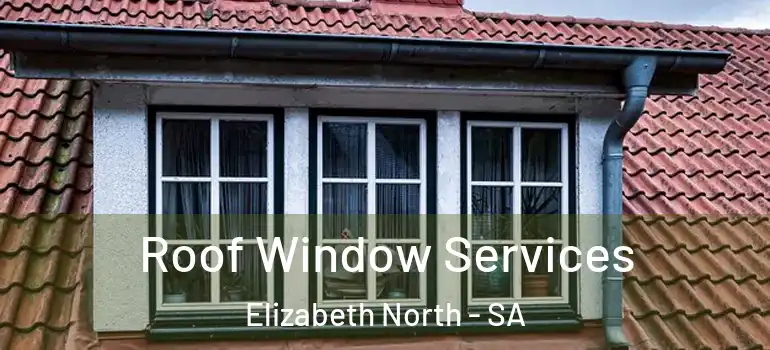 Roof Window Services Elizabeth North - SA