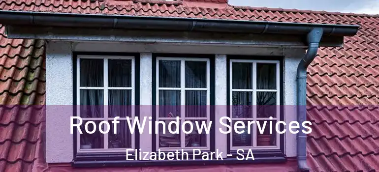 Roof Window Services Elizabeth Park - SA