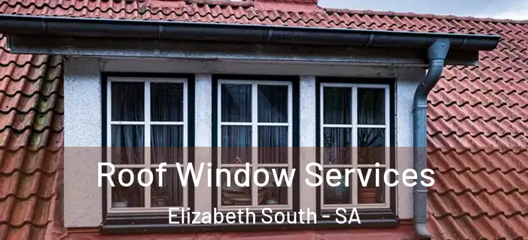 Roof Window Services Elizabeth South - SA