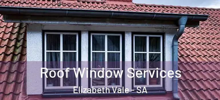 Roof Window Services Elizabeth Vale - SA