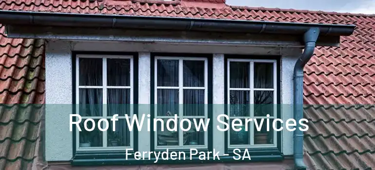Roof Window Services Ferryden Park - SA