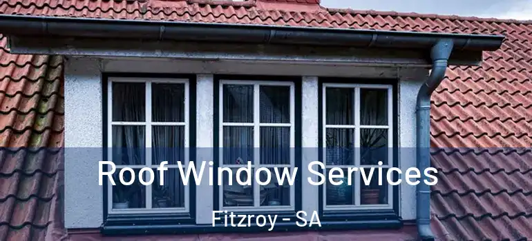 Roof Window Services Fitzroy - SA