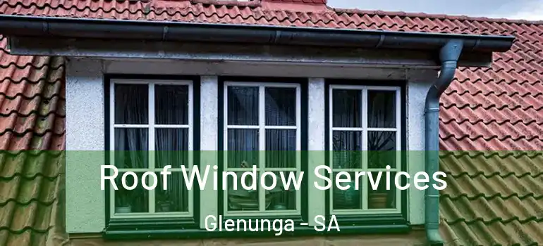 Roof Window Services Glenunga - SA