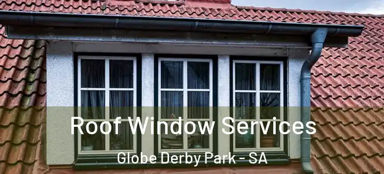 Roof Window Services Globe Derby Park - SA