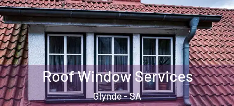 Roof Window Services Glynde - SA