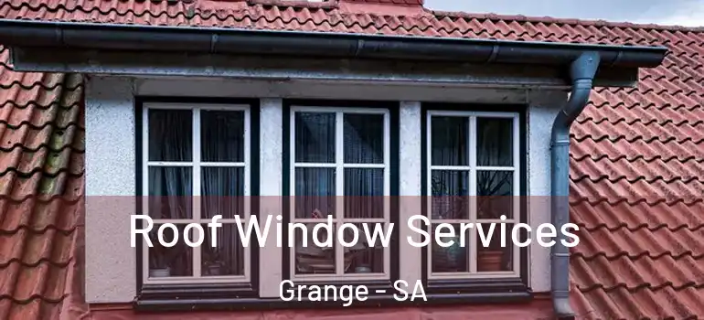 Roof Window Services Grange - SA