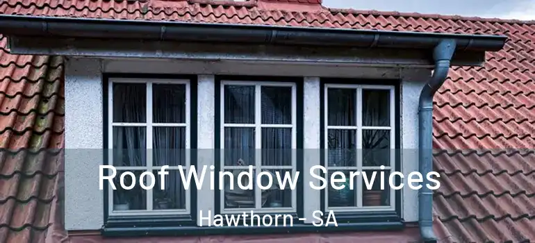 Roof Window Services Hawthorn - SA