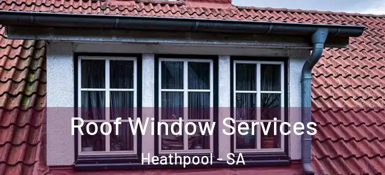 Roof Window Services Heathpool - SA