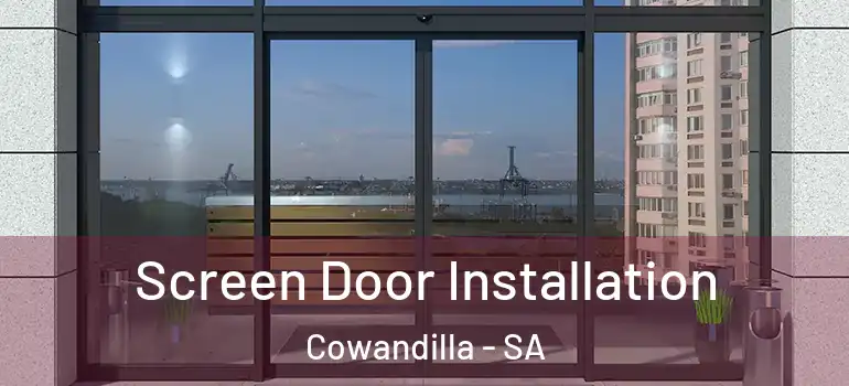  Screen Door Installation Cowandilla - SA