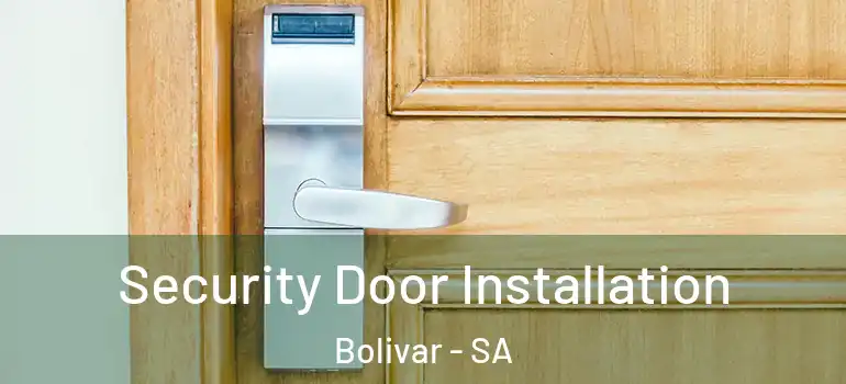 Security Door Installation Bolivar - SA