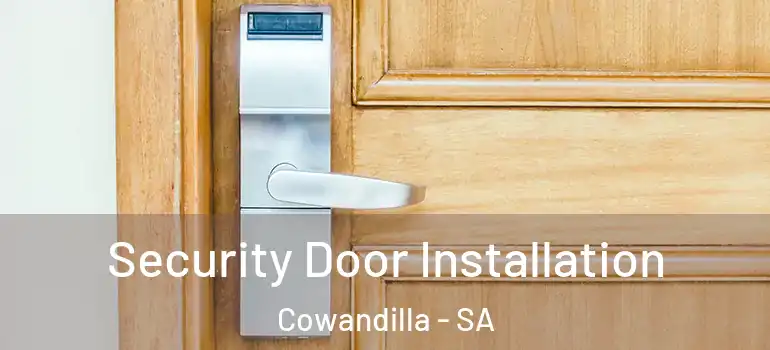 Security Door Installation Cowandilla - SA