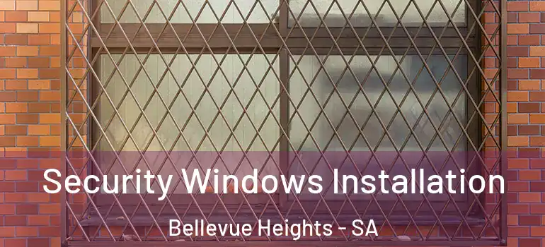 Security Windows Installation Bellevue Heights - SA