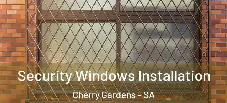 Security Windows Installation Cherry Gardens - SA
