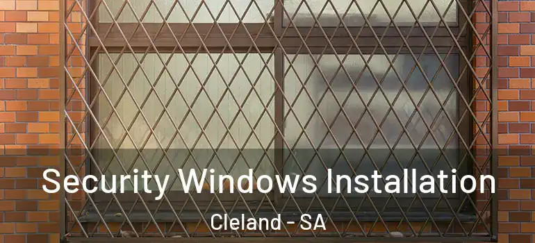 Security Windows Installation Cleland - SA