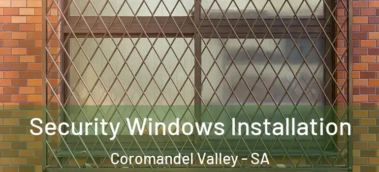 Security Windows Installation Coromandel Valley - SA