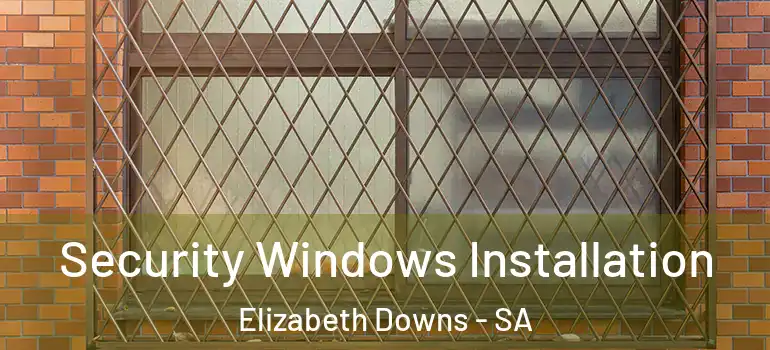Security Windows Installation Elizabeth Downs - SA